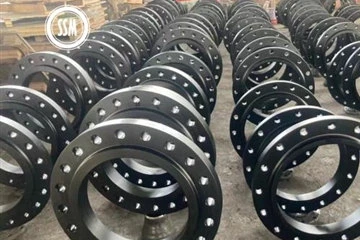 Φλάντζες μαύρης ζωγραφικής ASTM A105N που αποστέλλονται σε πελάτες της Σιγκαπ...